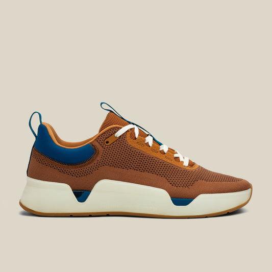 While On Earth Move Trainer