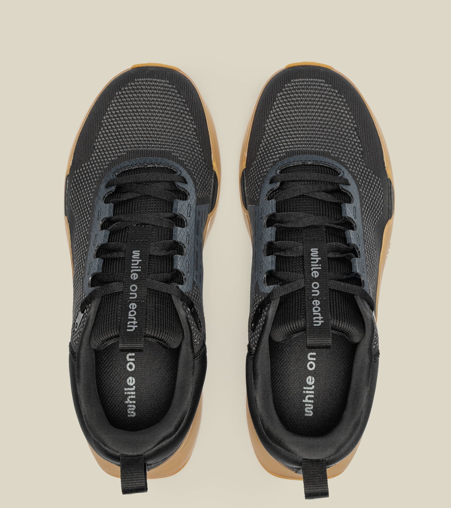 While On Earth Move Trainer