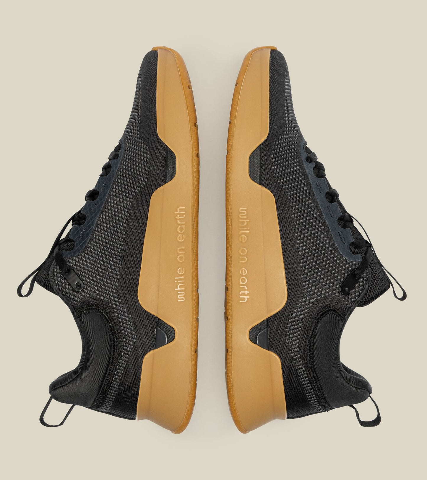 While On Earth Move Trainer