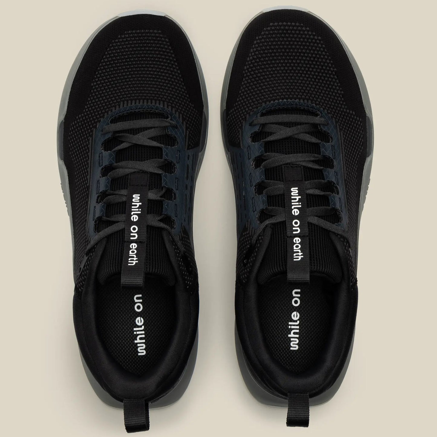While On Earth Move Trainer