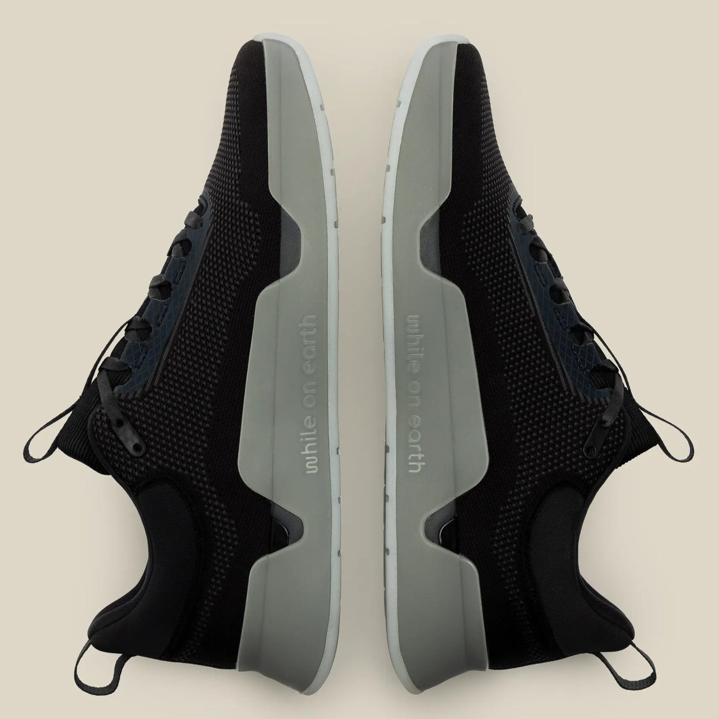 While On Earth Move Trainer