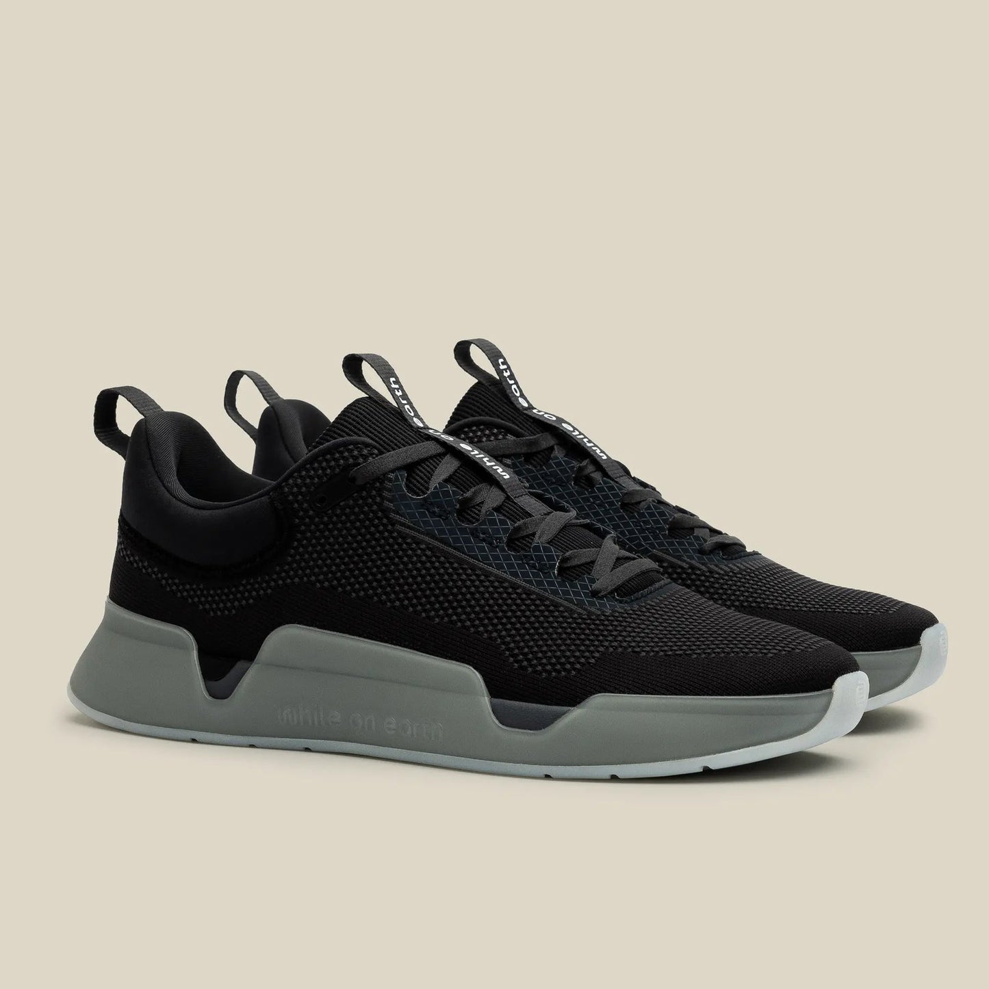 While On Earth Move Trainer