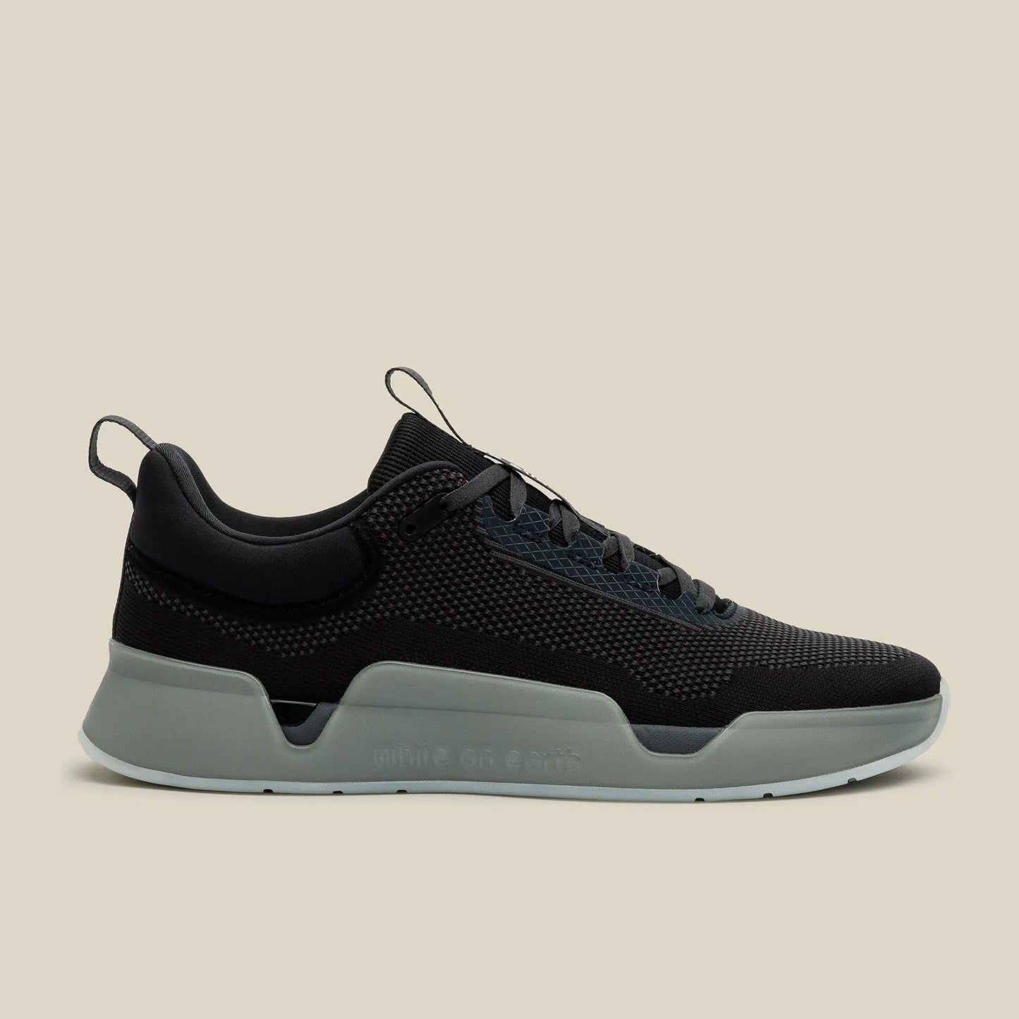 While On Earth Move Trainer