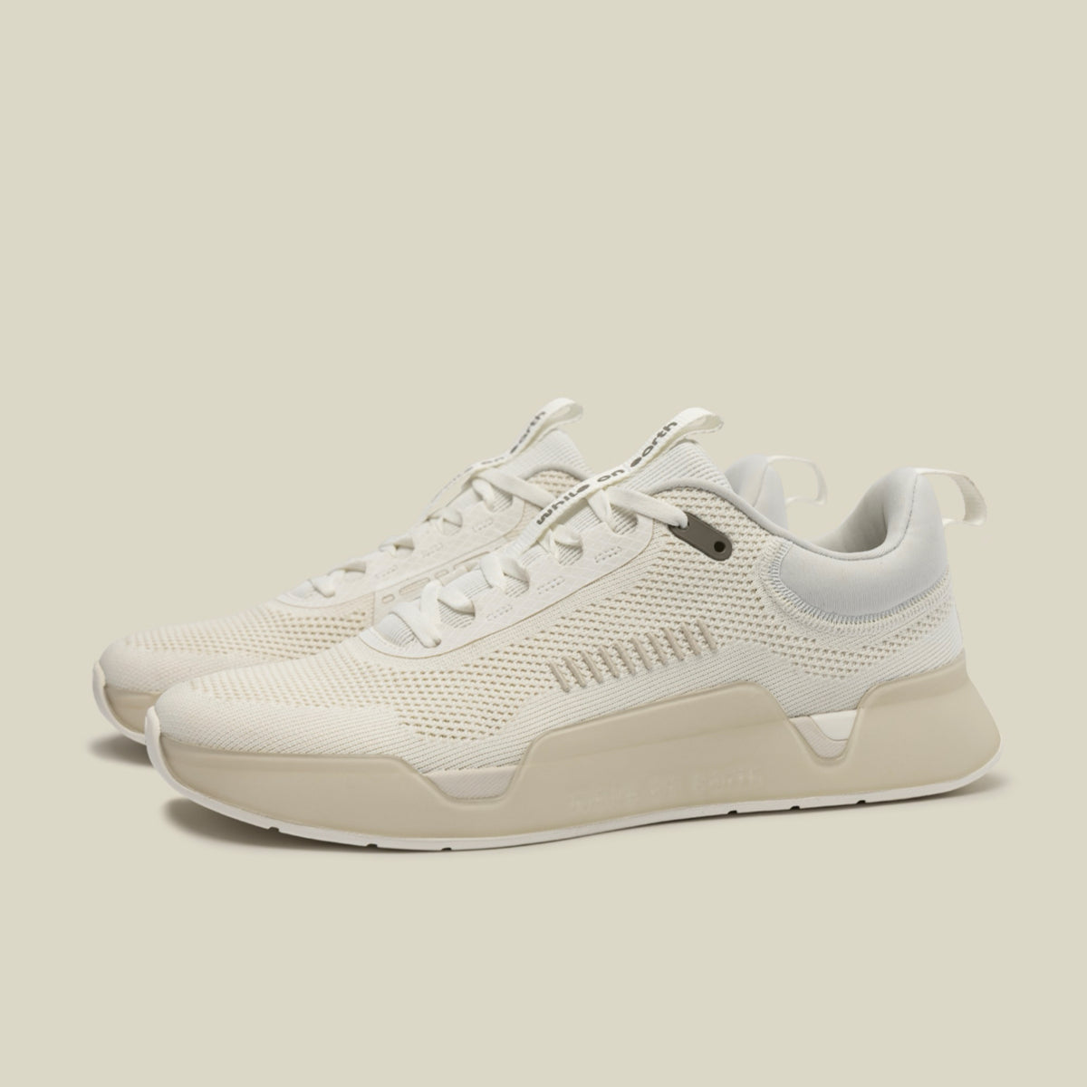 While On Earth Move Trainer