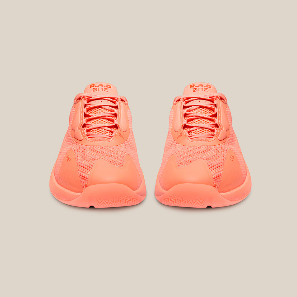 R.A.D ONE V2