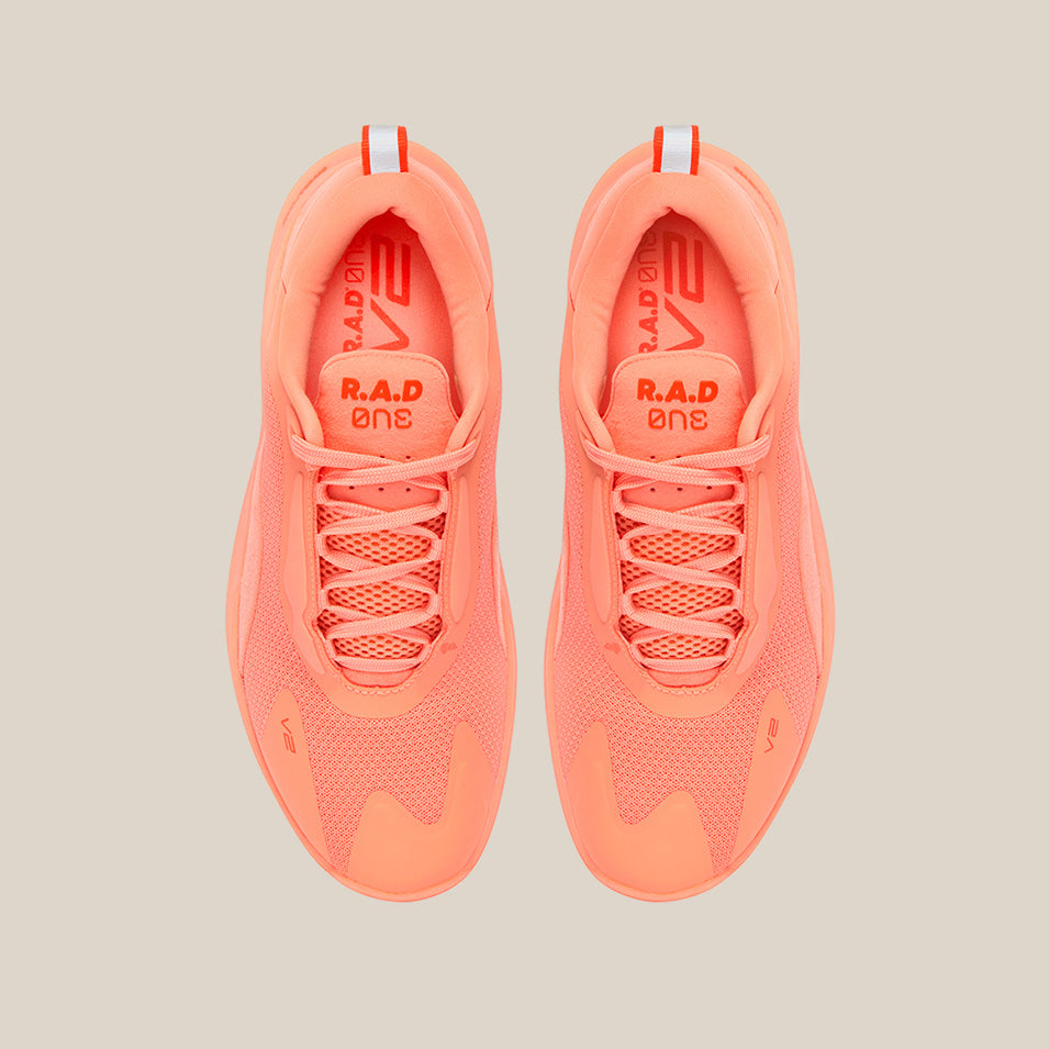 R.A.D ONE V2