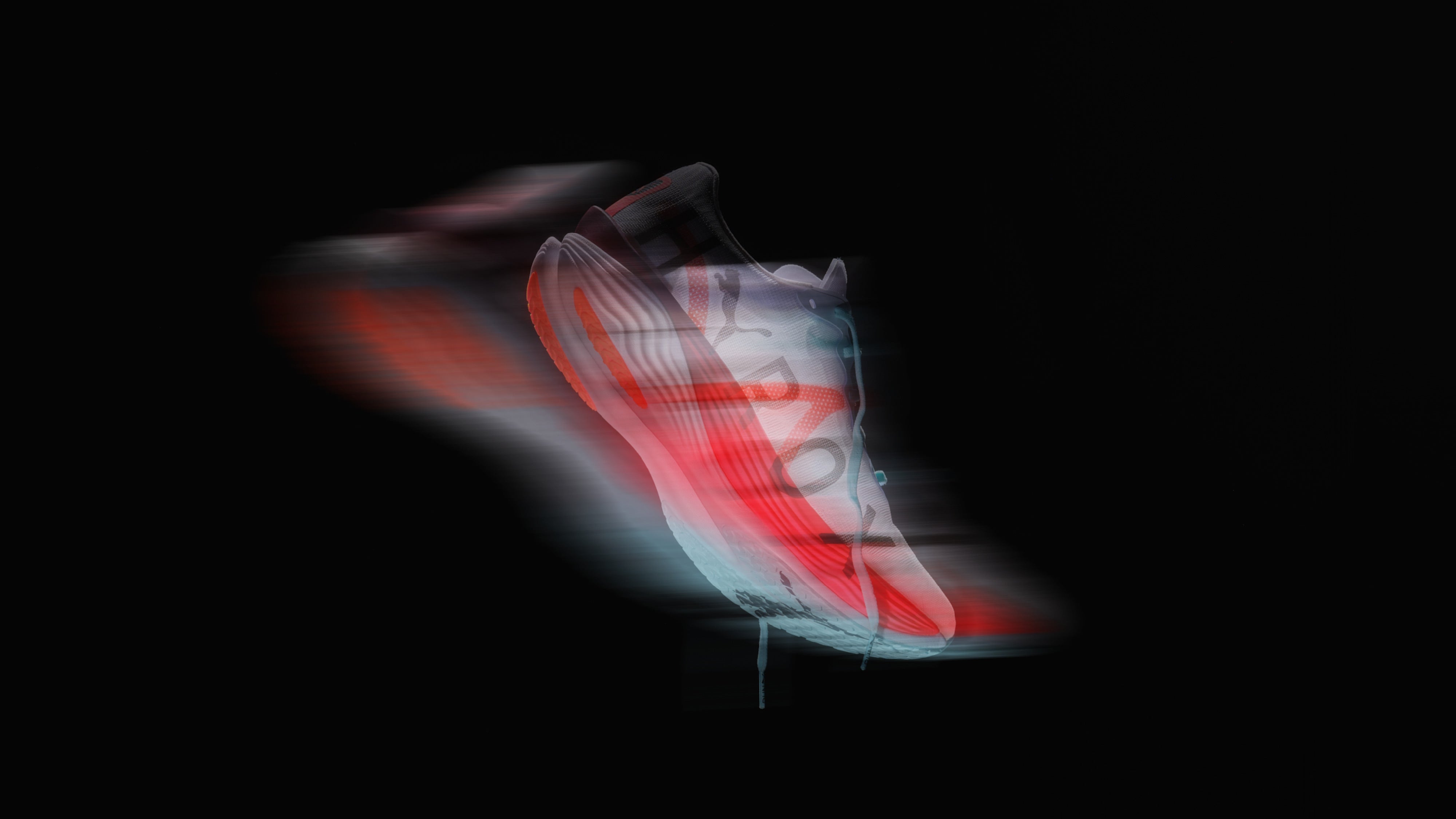 What makes the perfect Hybrid Shoe?