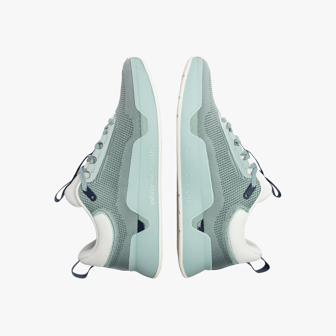 While On Earth Move Trainer