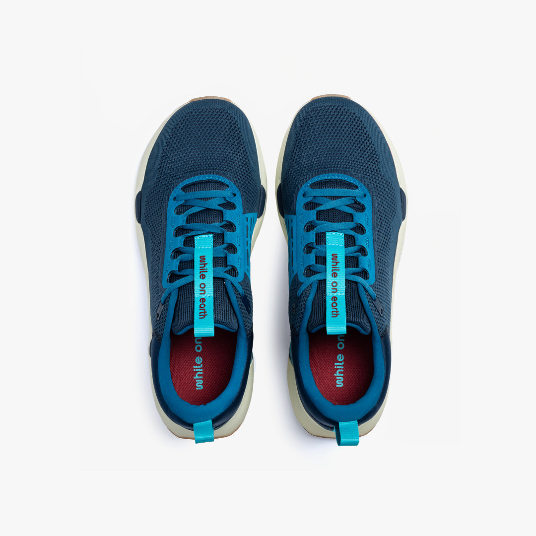 While On Earth Move Trainer