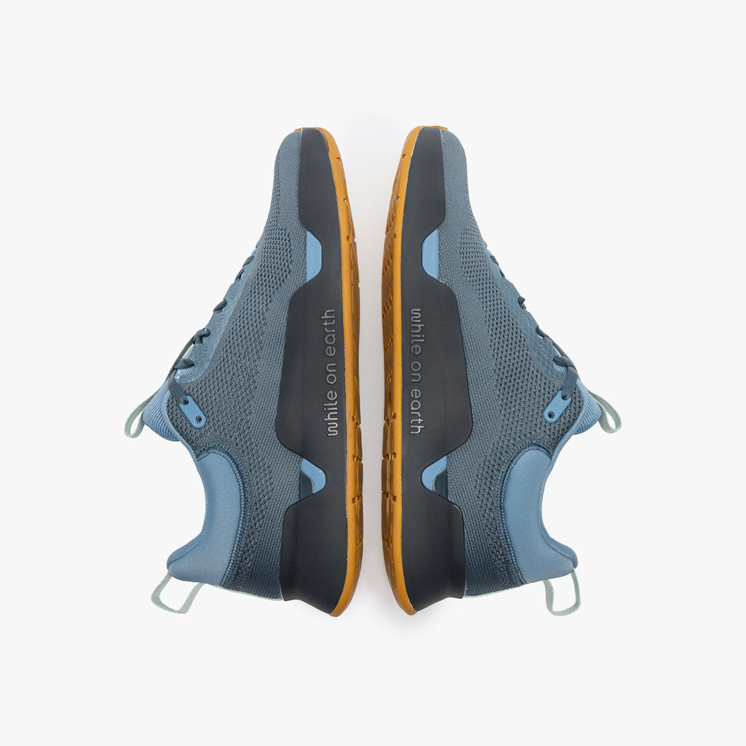 While On Earth Move Trainer