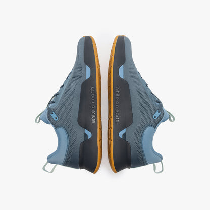 While On Earth Move Trainer