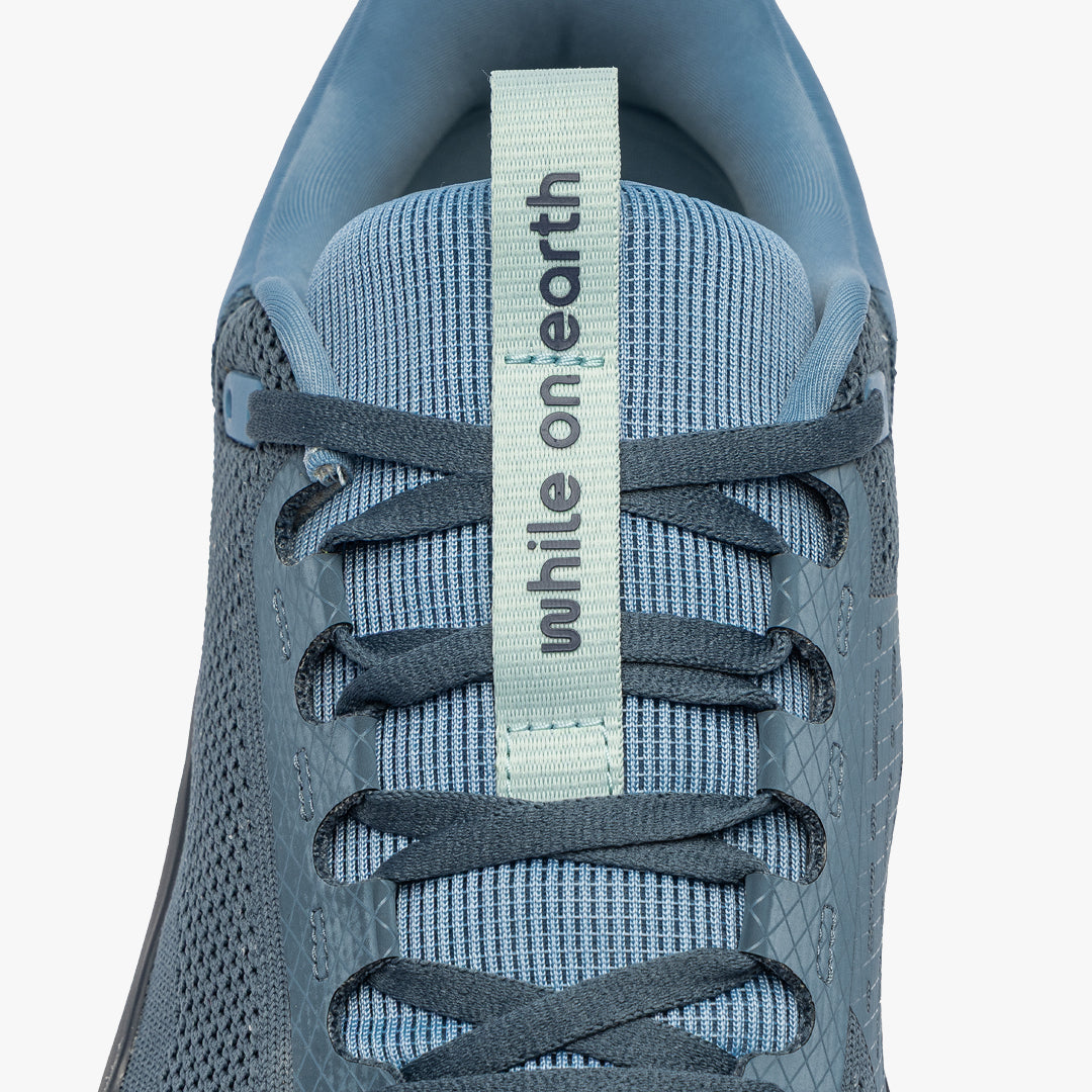 While On Earth Move Trainer