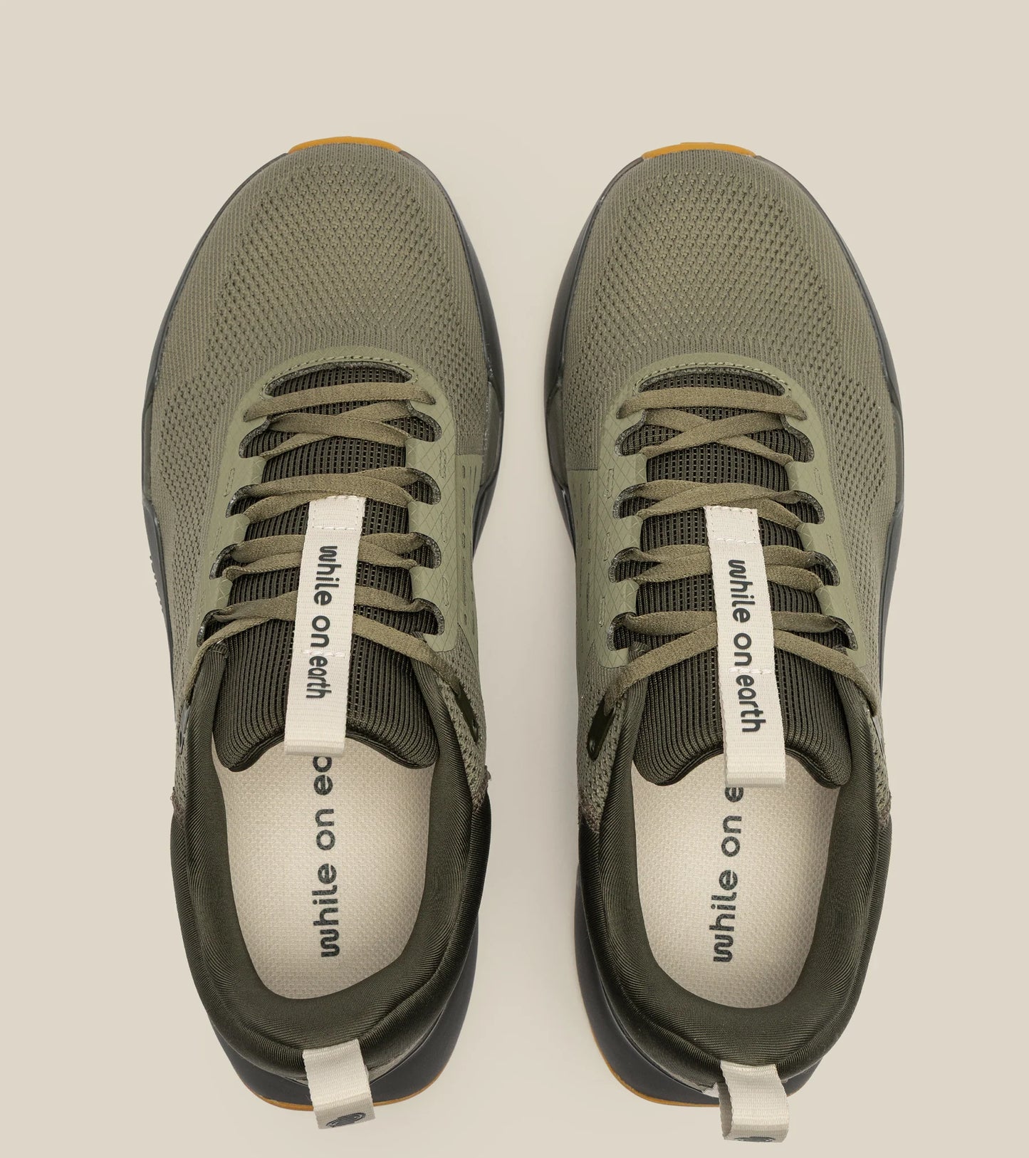 While On Earth Move Trainer