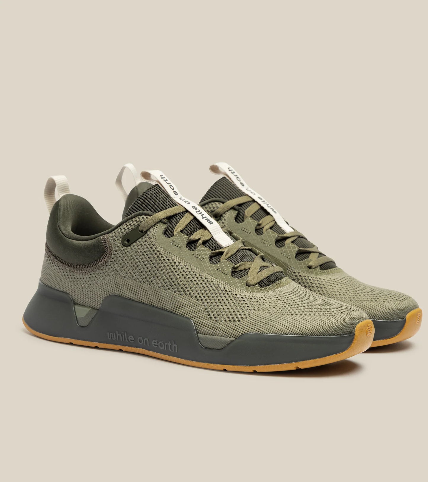 While On Earth Move Trainer