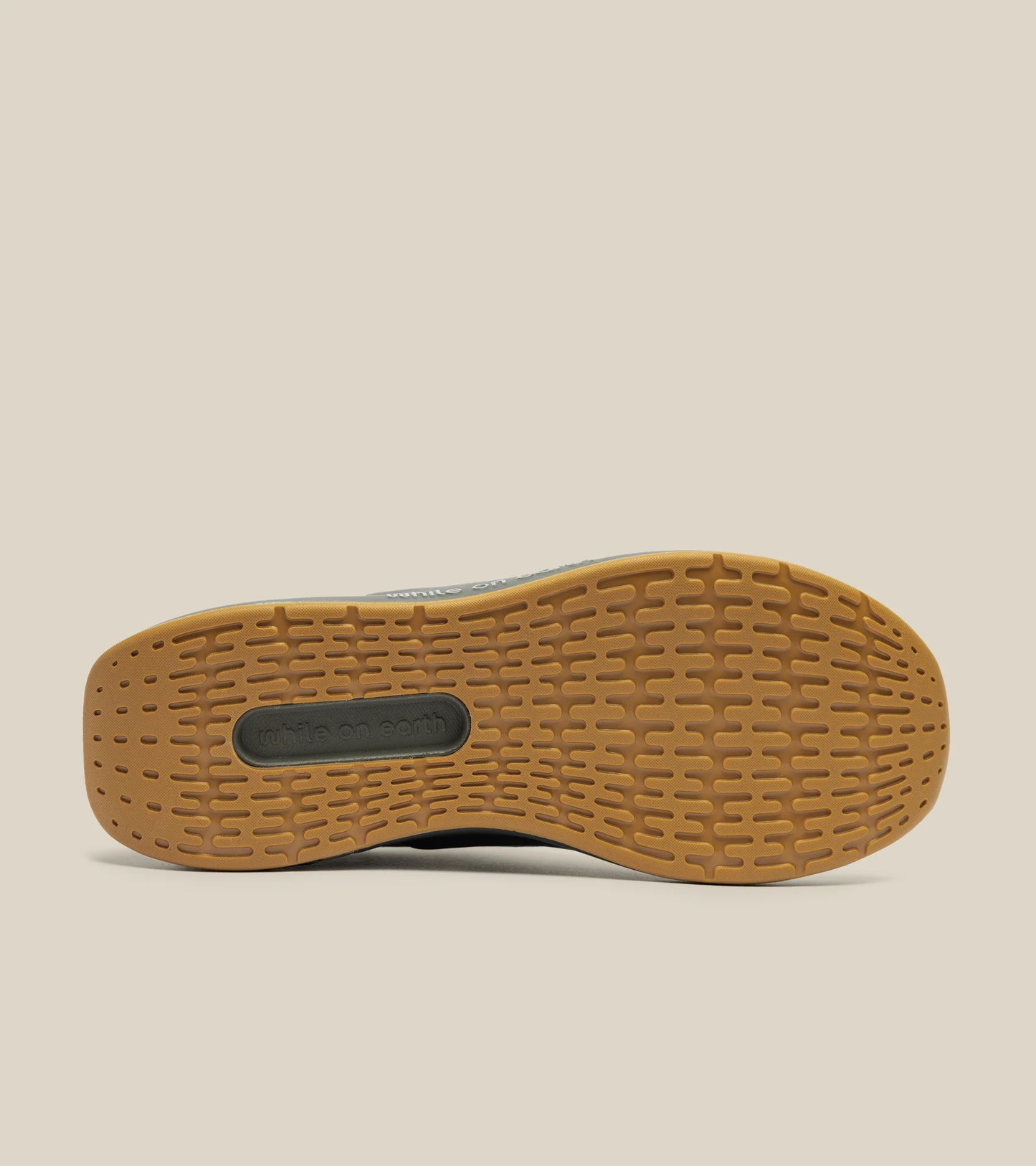 While On Earth Move Trainer