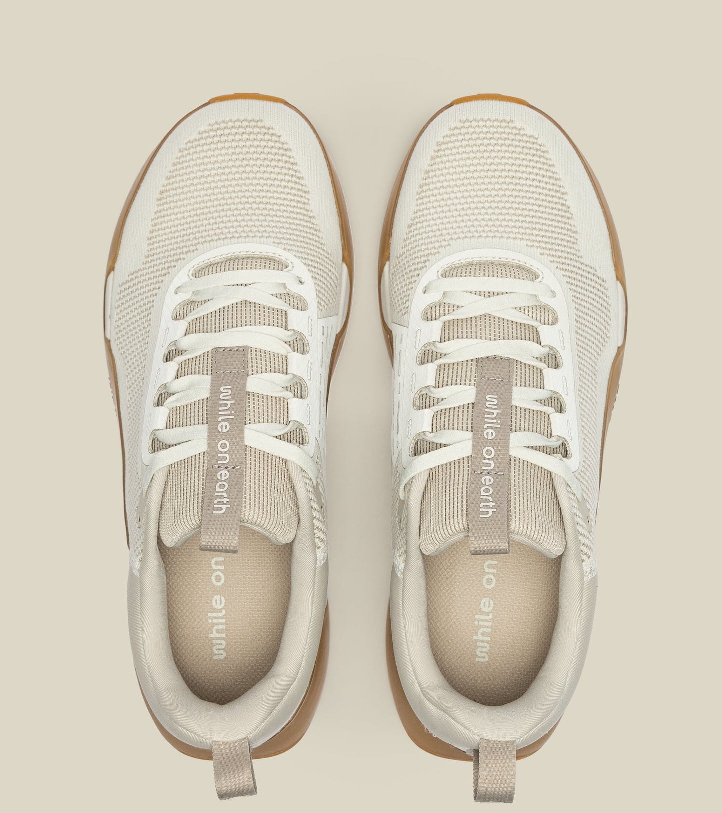 While On Earth Move Trainer