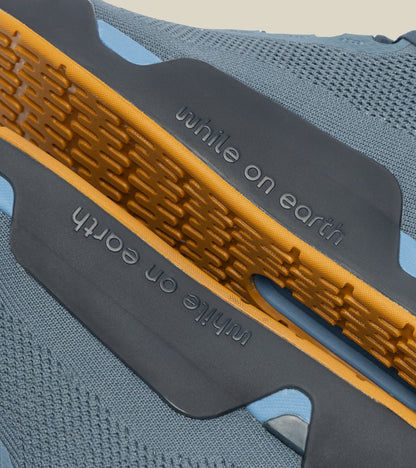 While On Earth Move Trainer