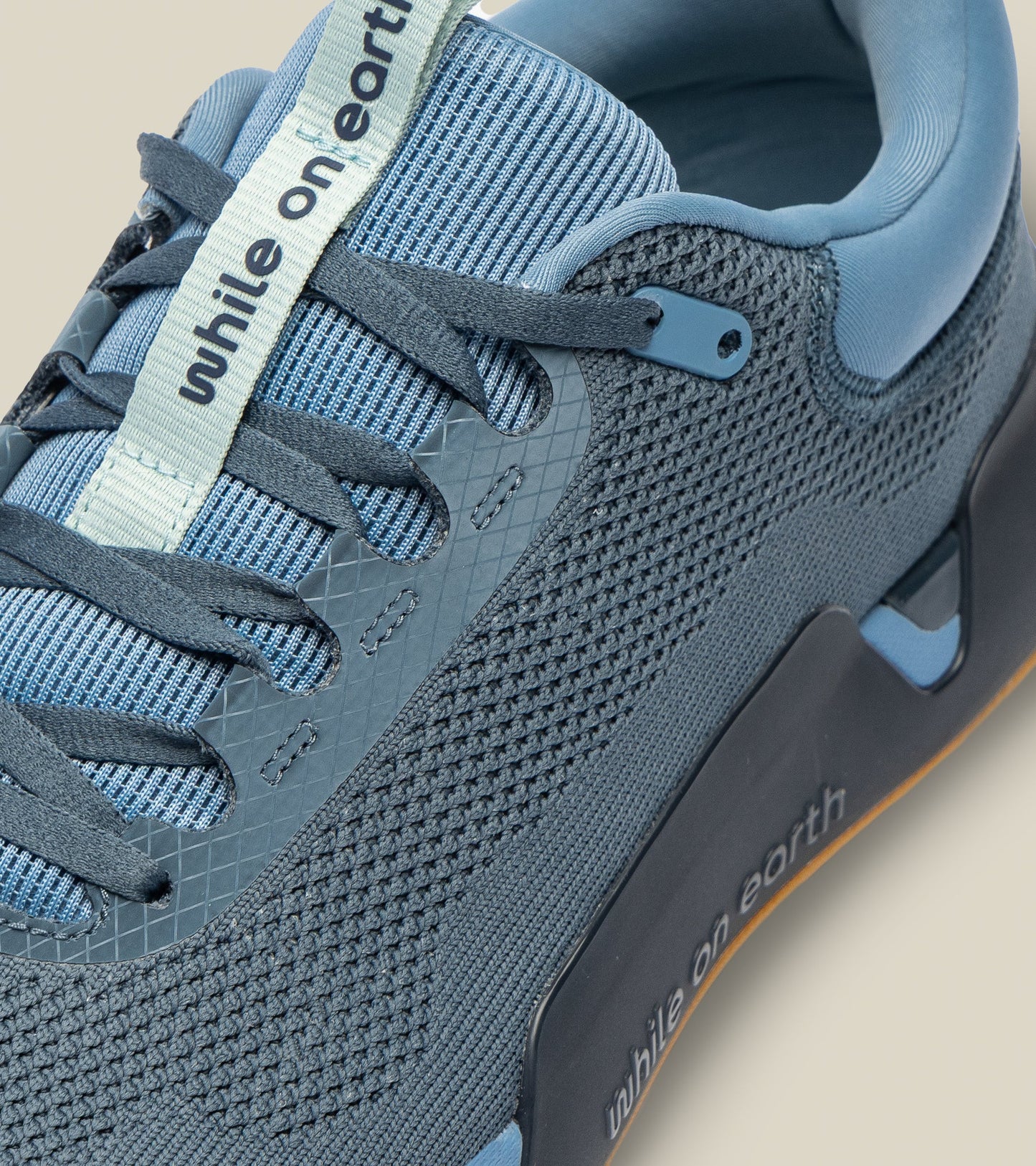 While On Earth Move Trainer