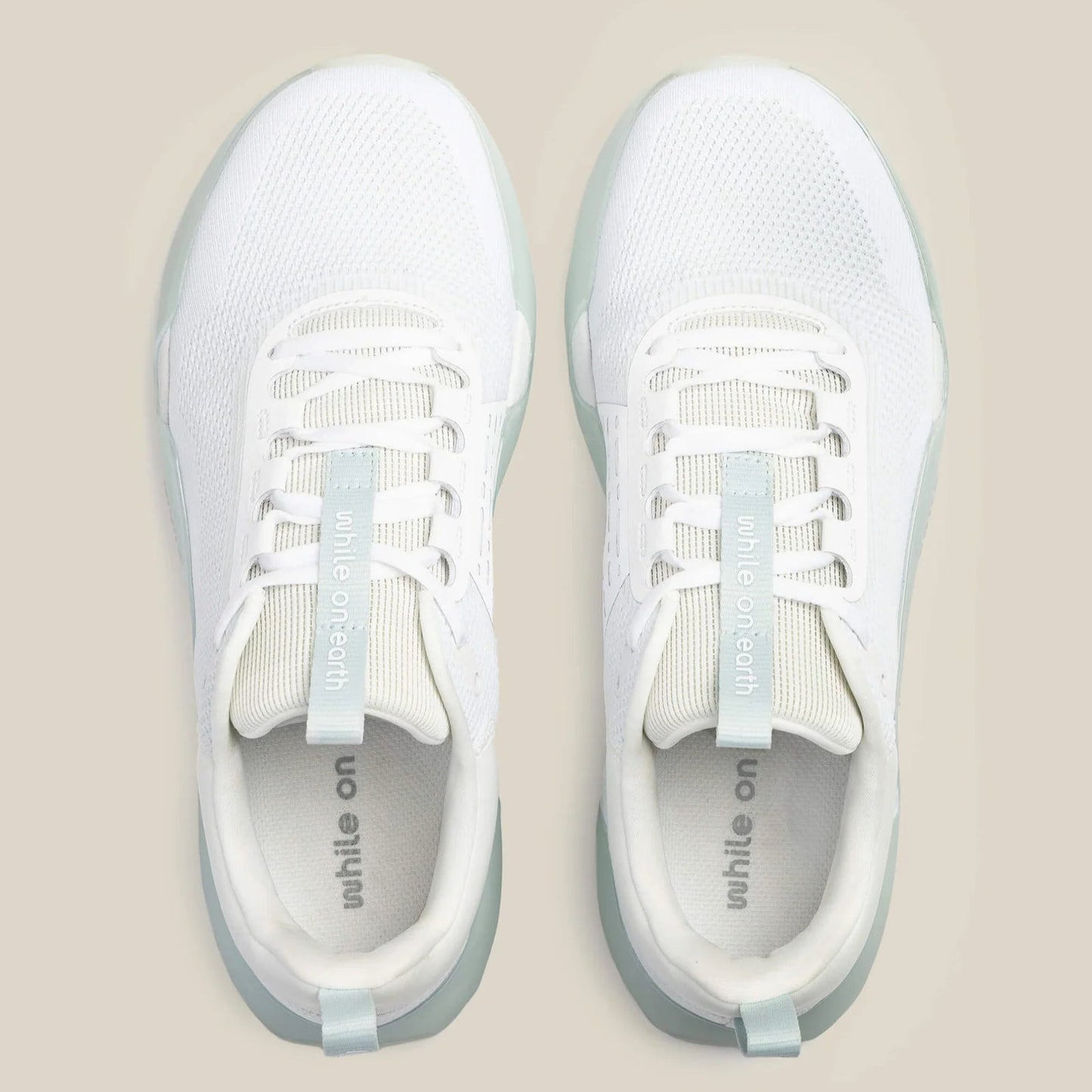 While On Earth Move Trainer