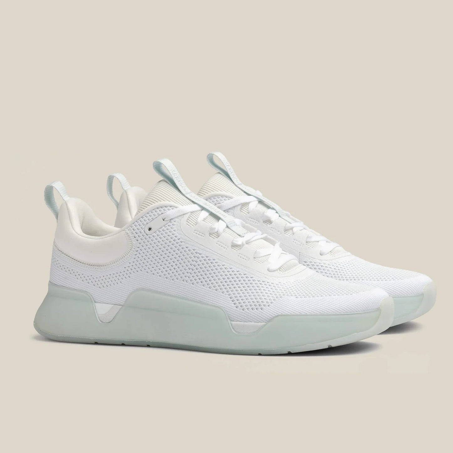 While On Earth Move Trainer