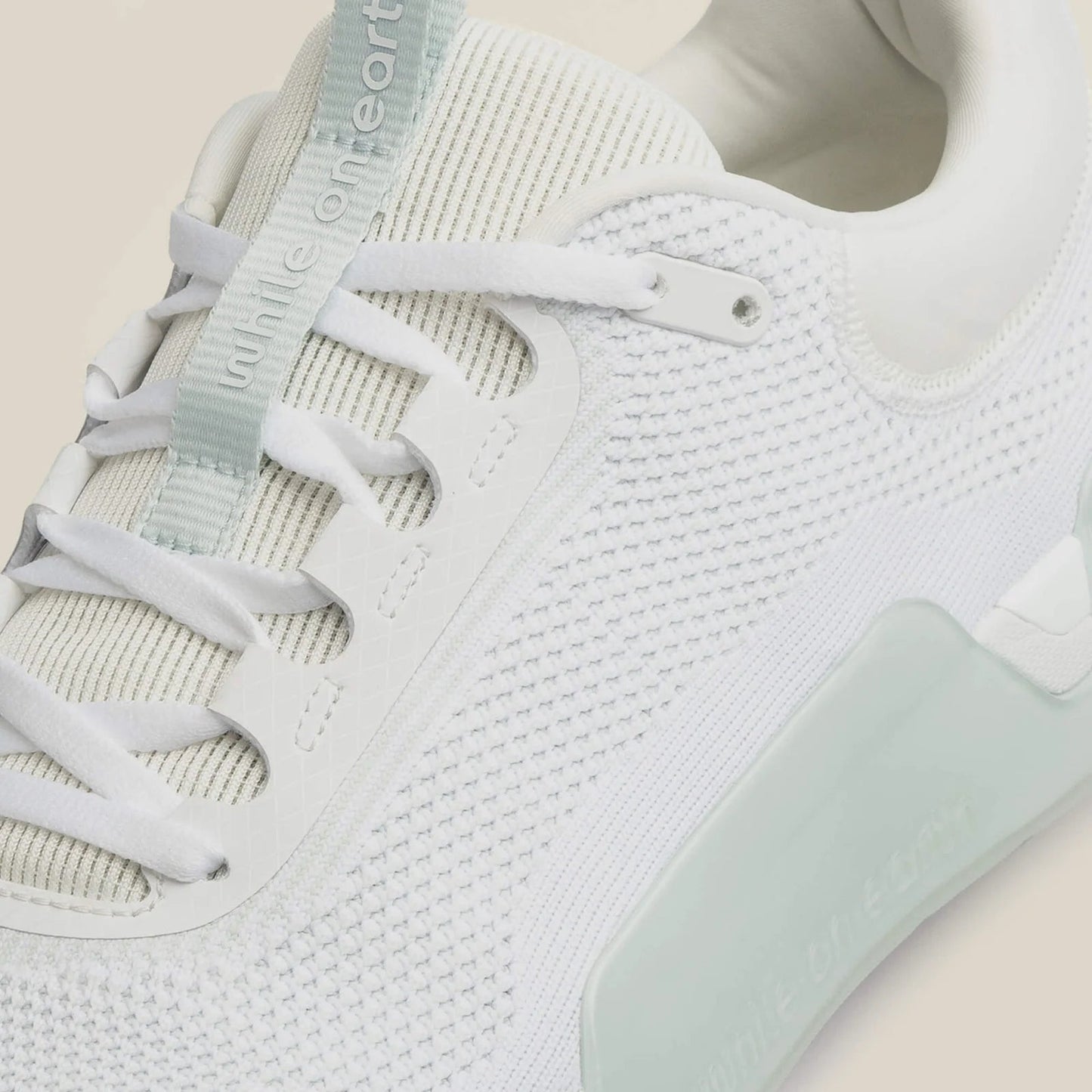 While On Earth Move Trainer