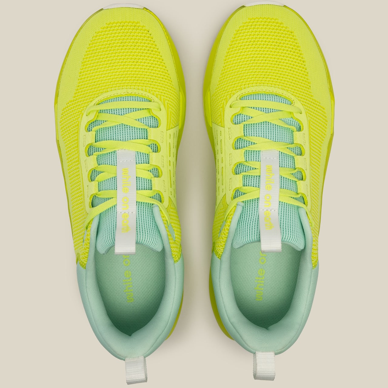 While On Earth Move Trainer