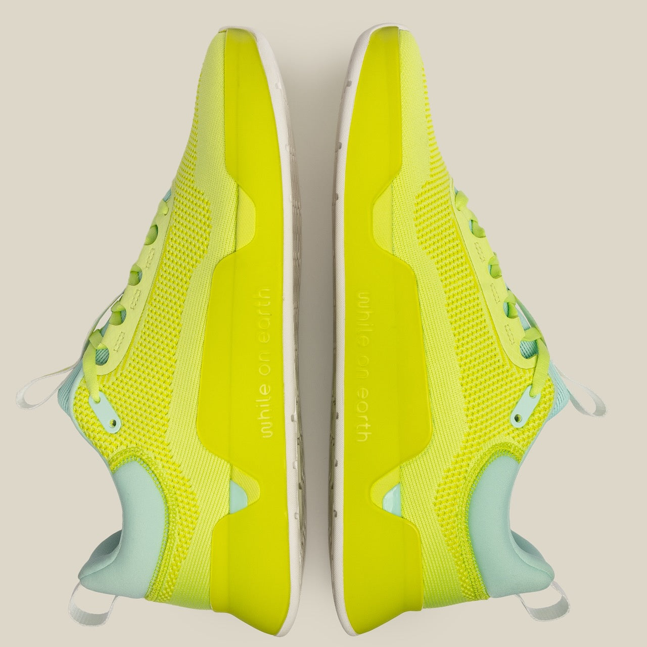 While On Earth Move Trainer
