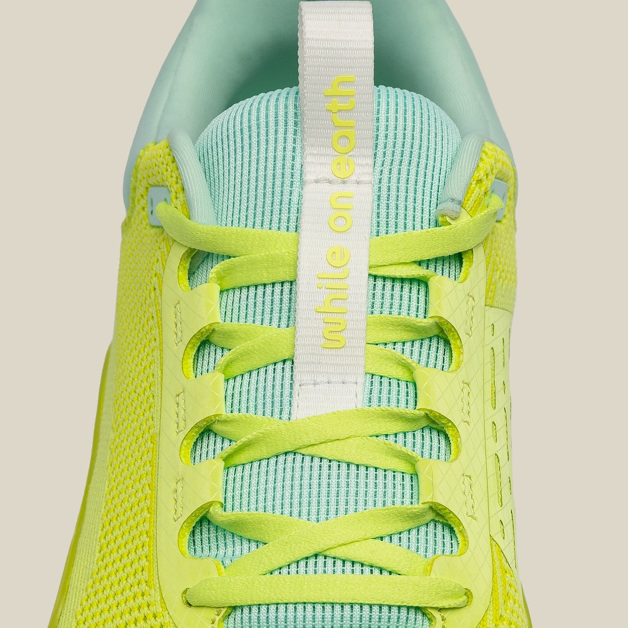 While On Earth Move Trainer