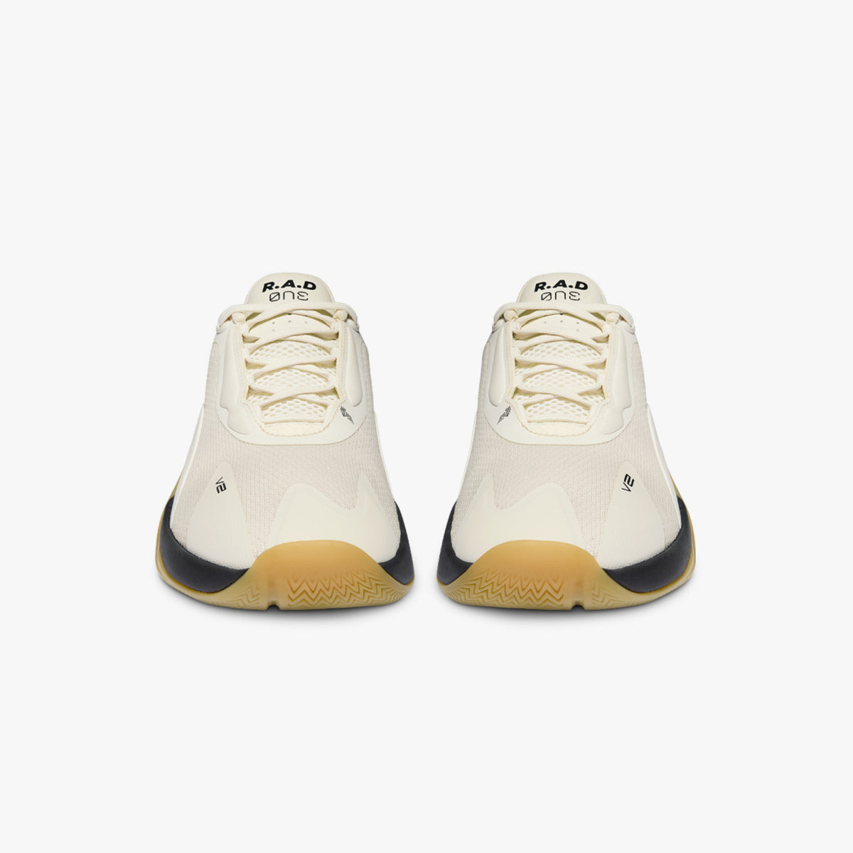 R.A.D ONE V2