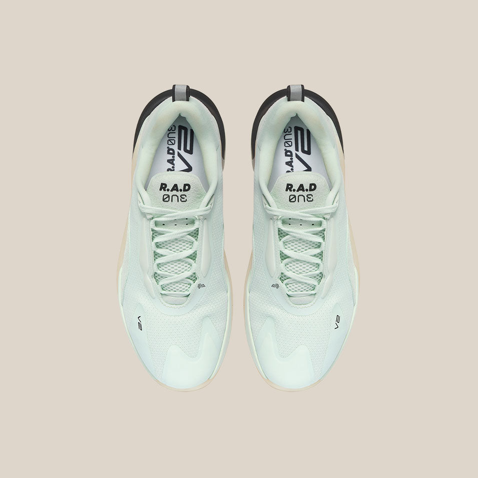 R.A.D ONE V2
