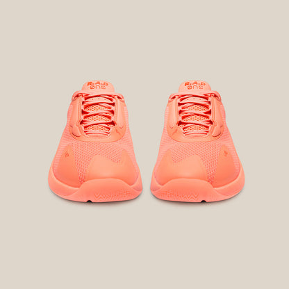 R.A.D ONE V2