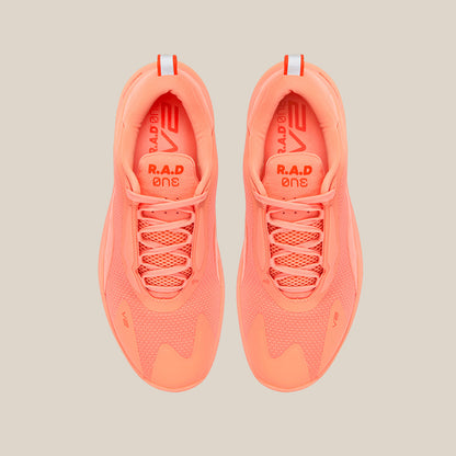 R.A.D ONE V2