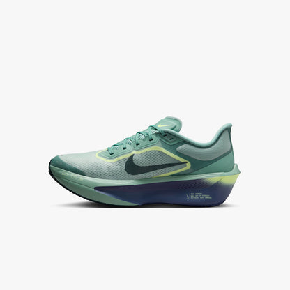 Nike Men's Zoom Fly 6
