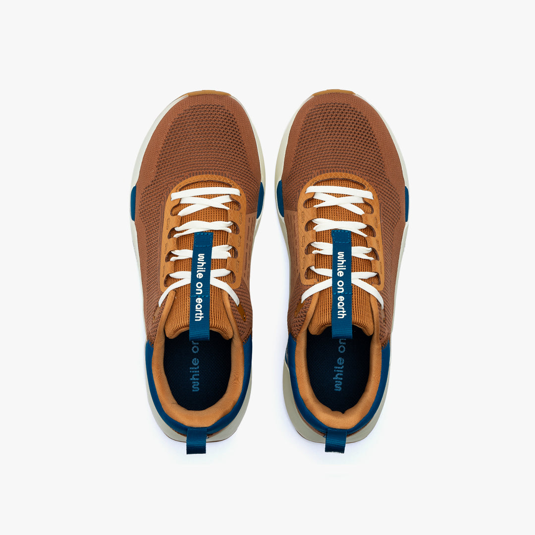 While On Earth Move Trainer