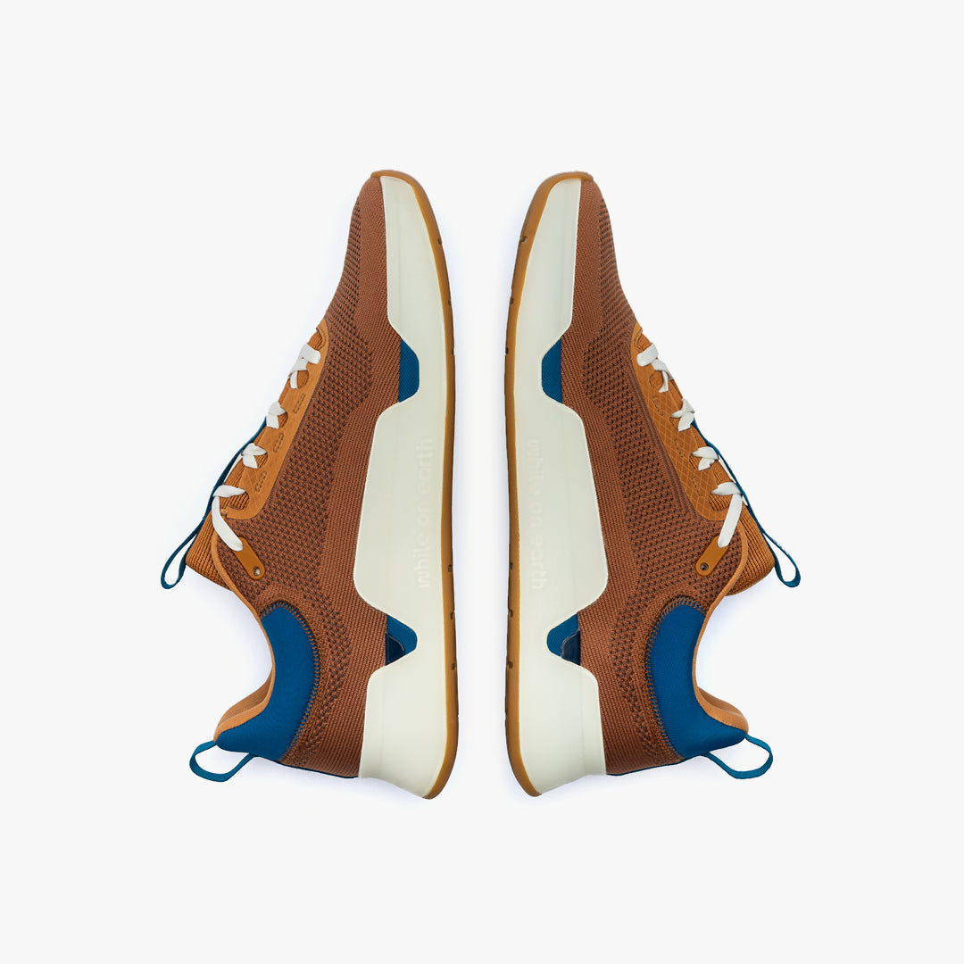 While On Earth Move Trainer