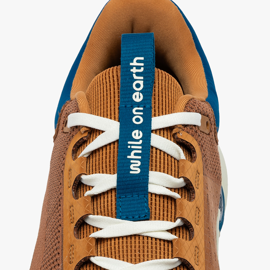 While On Earth Move Trainer